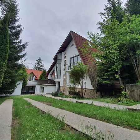 Vila Sorina Пояна Брашов Екстериор снимка