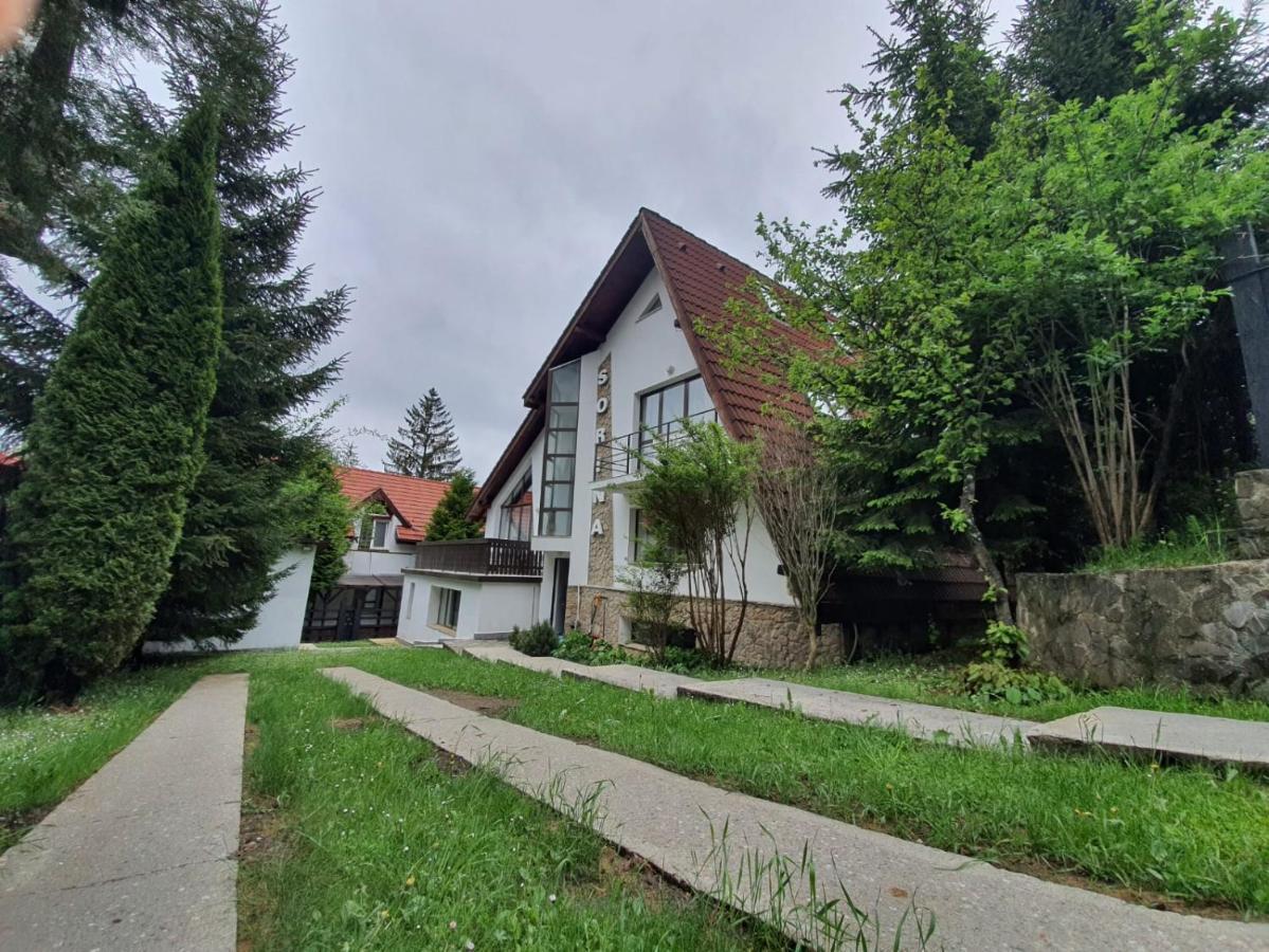 Vila Sorina Пояна Брашов Екстериор снимка